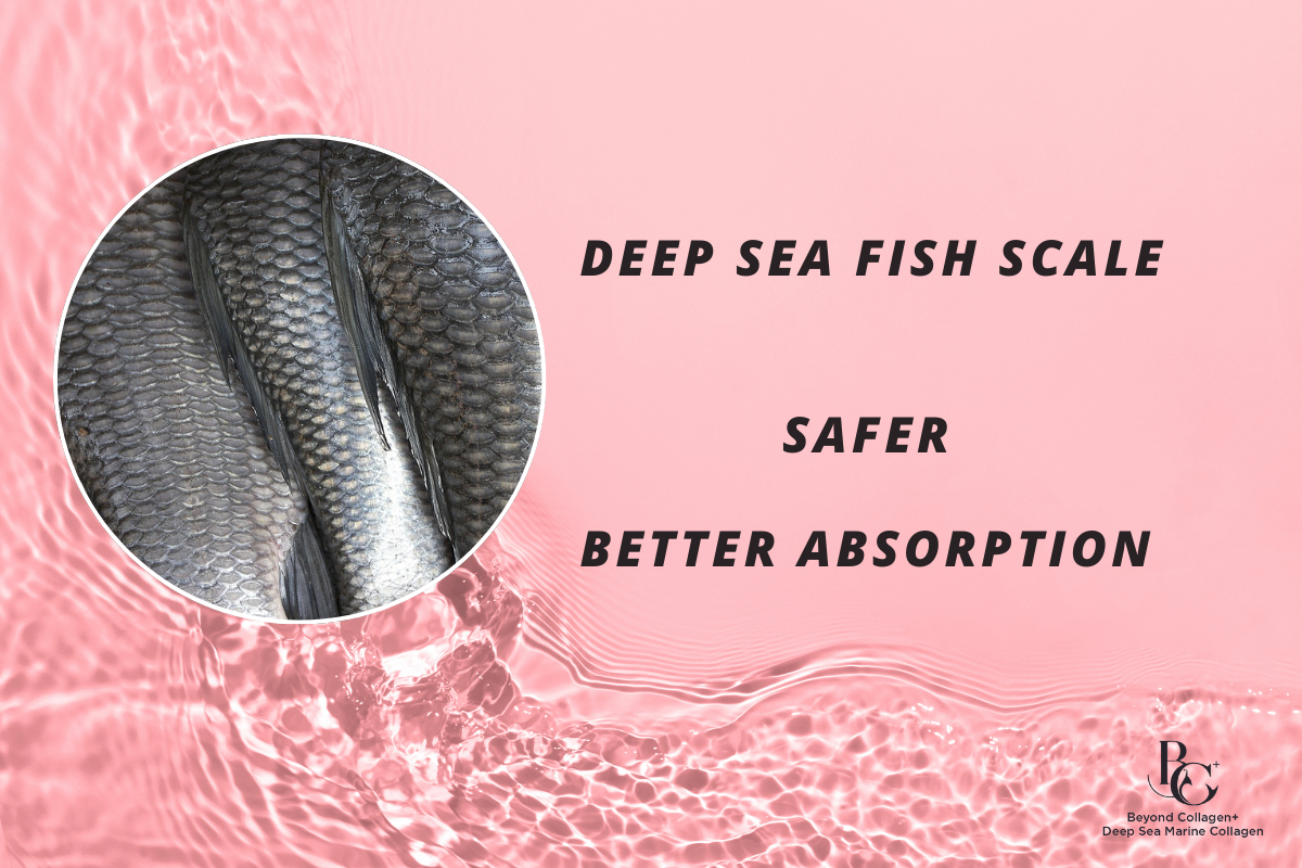 The Ultimate Guide to Fish Scale Collagen: Benefits, Uses, and Why It ...