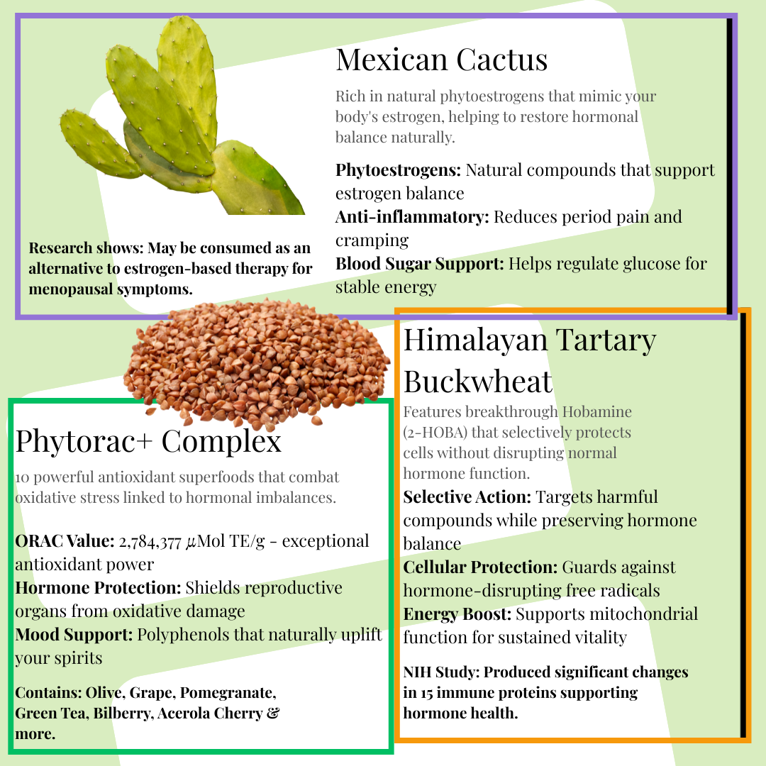 Beyond Cactus+ x 15 sachets