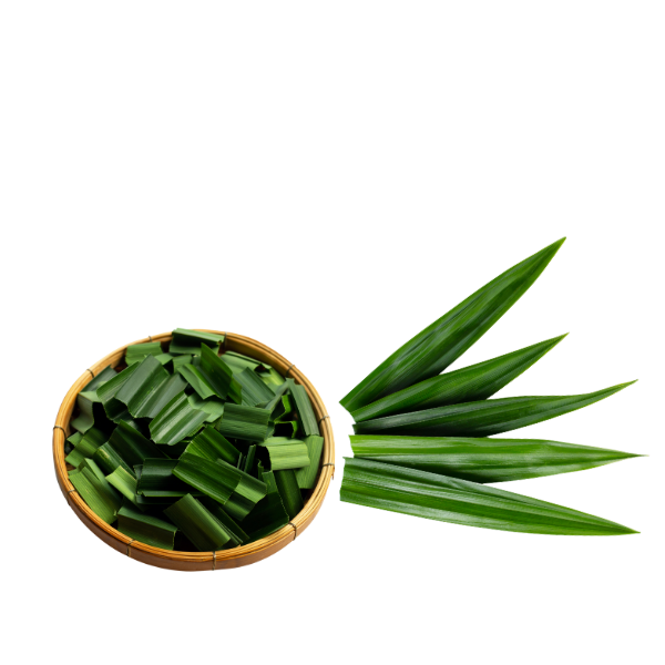 Pandan